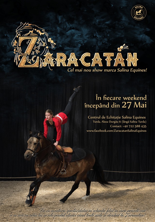 Zaracatan by Salina Equines, Turda