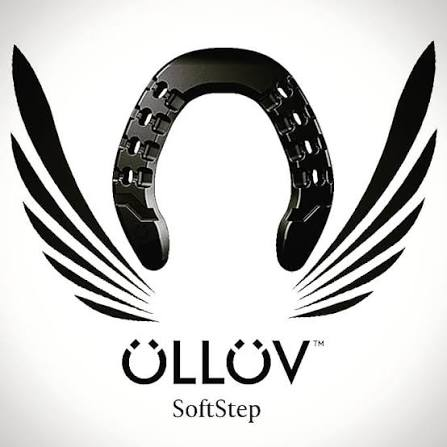  Öllöv