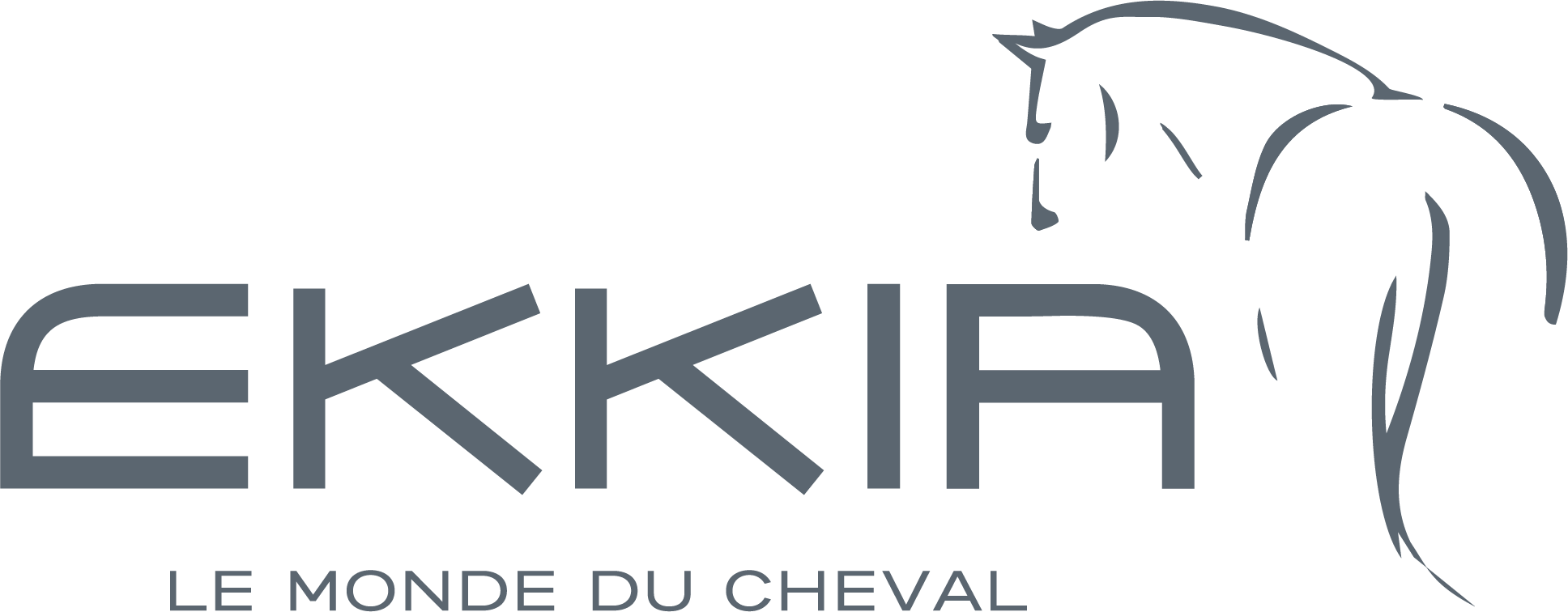 Ekkia