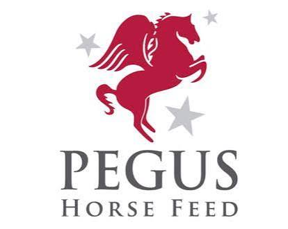 Pegus