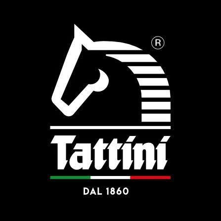 Tattini
