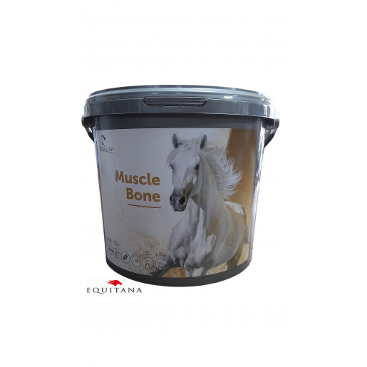 Muscle Bone