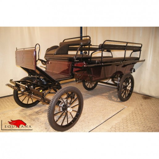Trasura Wagonette WG -138, Glinkowski-2324