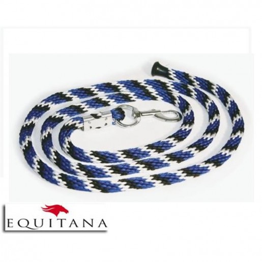 Lesa pentru capastru Mustang