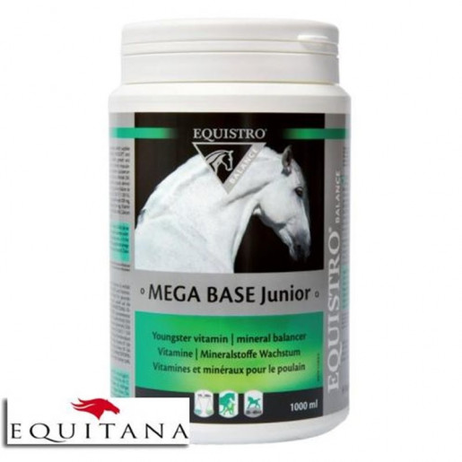 Mega Base Junior