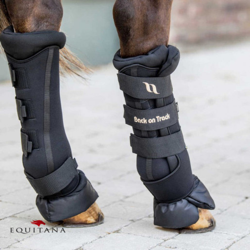 Protectii de grajd Royal Deluxe, Back on Track