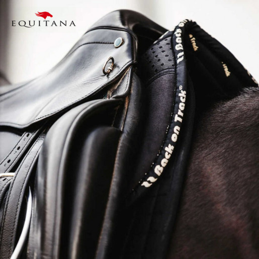 Protectie greaban Aurora, Back on Track