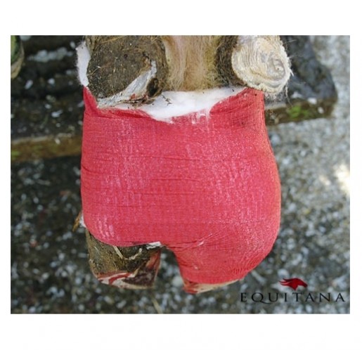 bandaj copita