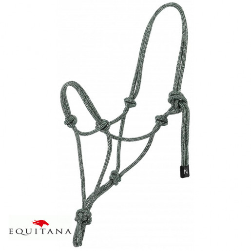 Capastru de dresaj natural, Norton