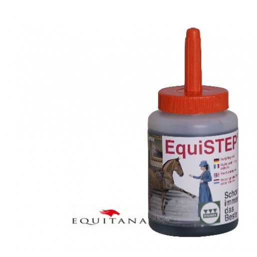 equistep