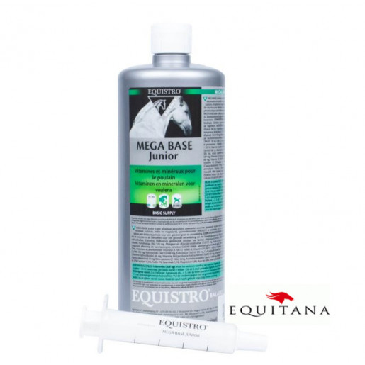 Mega Base Junior