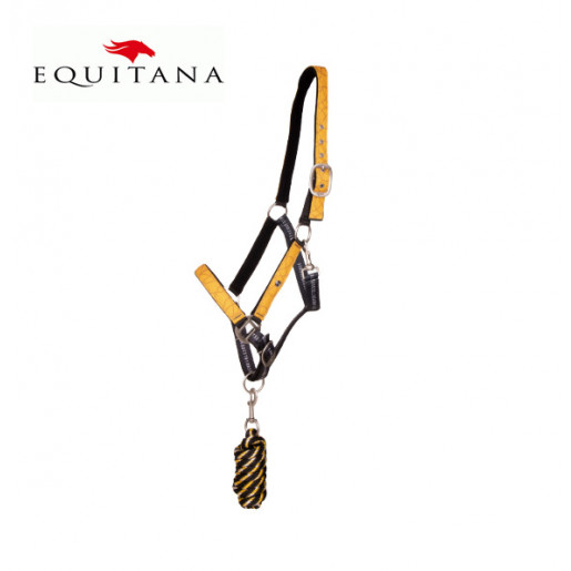 Set capastru + lesa