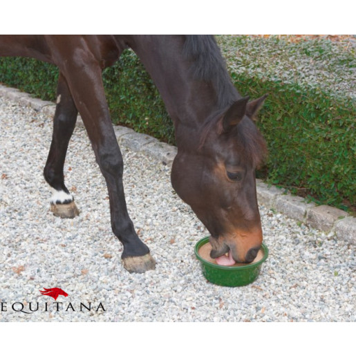 Bol cu plante medicinale impotriva bronsitei, Horse Lick Bronchial