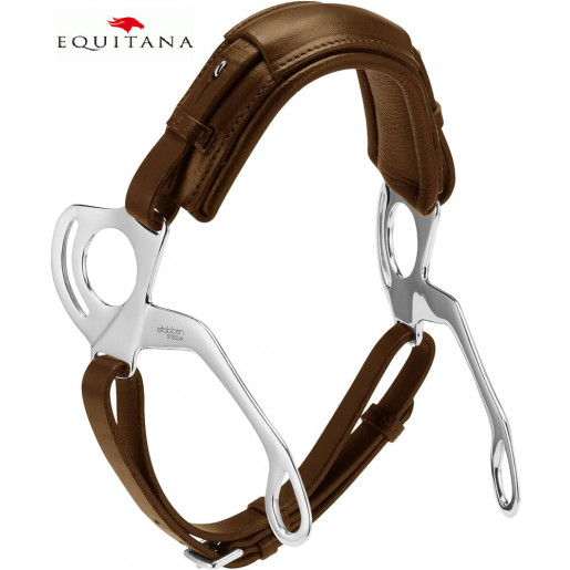 Hackamore Stubben