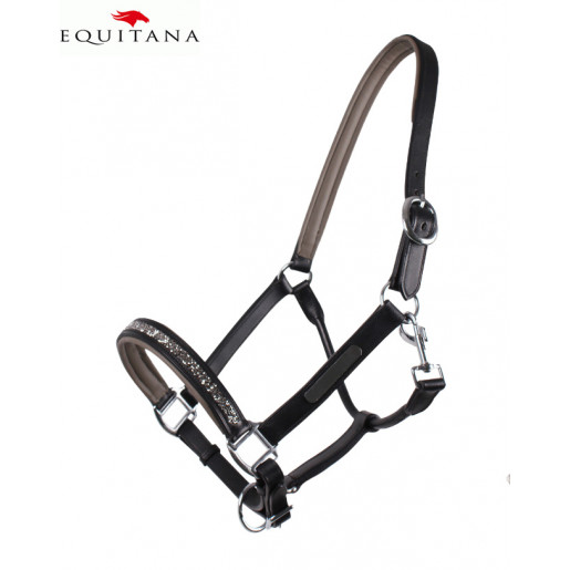 Capastru de piele Lupin