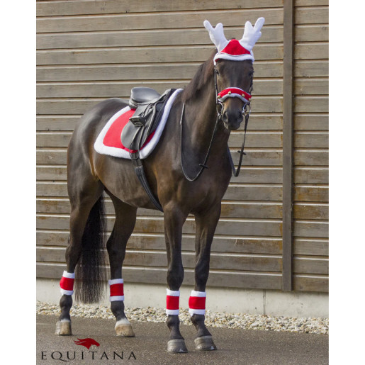 Blanita Frau Christmas