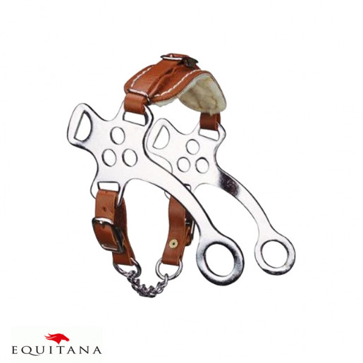 Hackamore