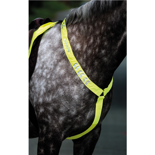 Pieptar reflectorizant Equi-Flector Shires
