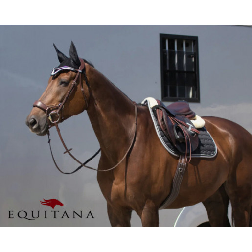 Chinga anatomica Lux QHP