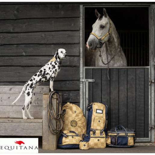 Lonja QHP Collection