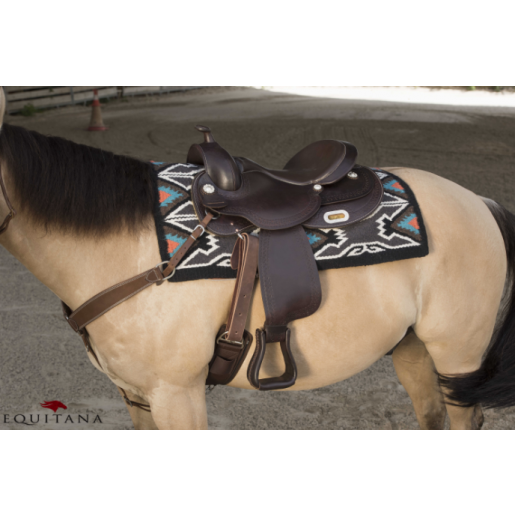 Sa western Arvada Ekkia
