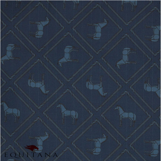 Geanta pentru cizme, QHP