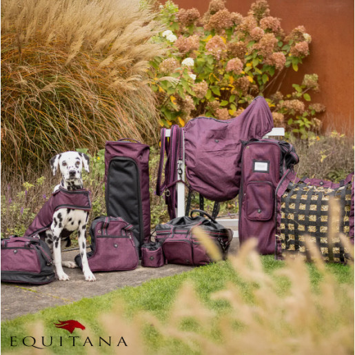 Geanta pentru cizme, QHP