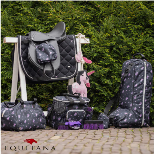 Geanta pentru produse de intretinere Lize, QHP