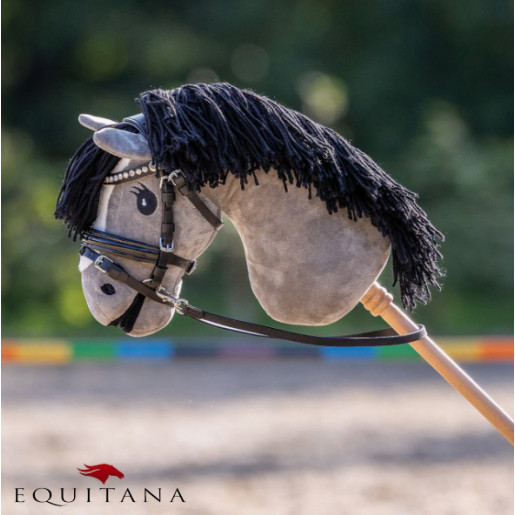 Frau Hobby Horse, QHP