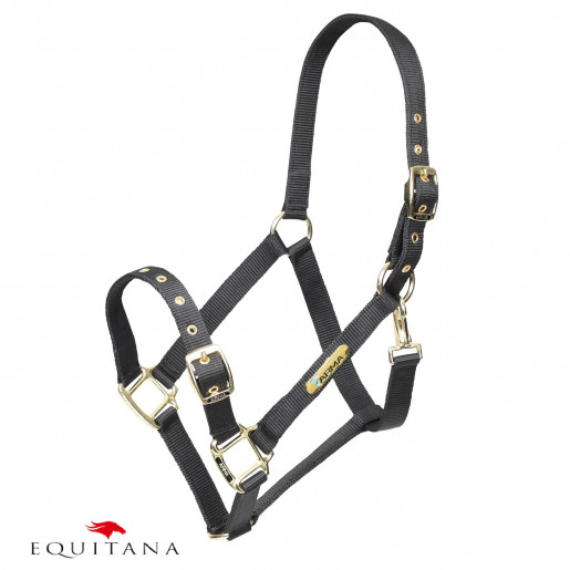 Capastru Shires Arma Capastru Shires Arma