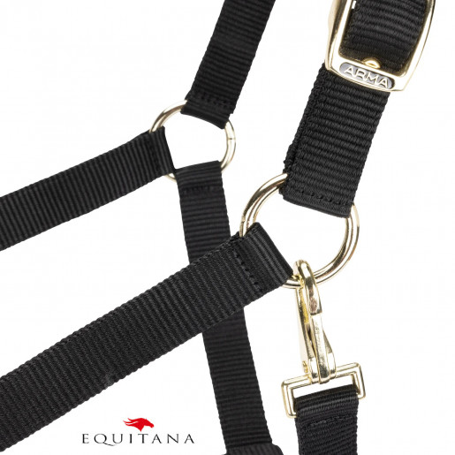 Capastru Shires Arma Capastru Shires Arma