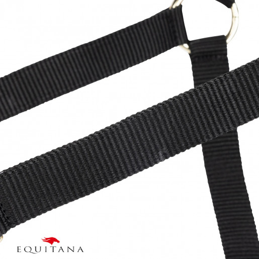 Capastru Shires Arma Capastru Shires Arma