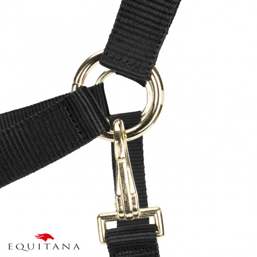 Capastru Shires Arma Capastru Shires Arma