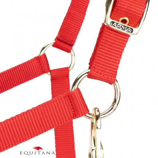 Capastru Shires Arma Capastru Shires Arma