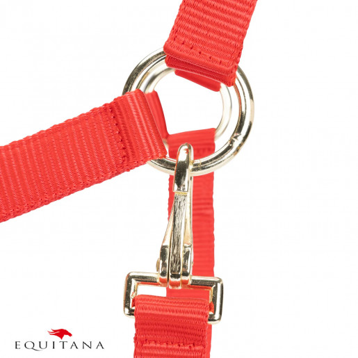 Capastru Shires Arma Capastru Shires Arma