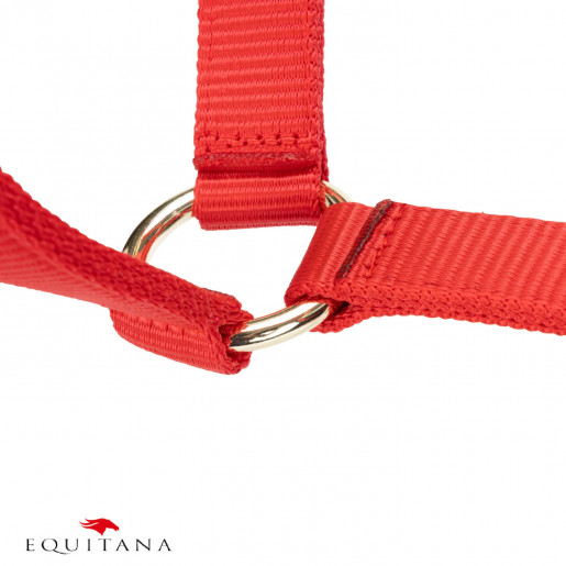 Capastru Shires Arma Capastru Shires Arma