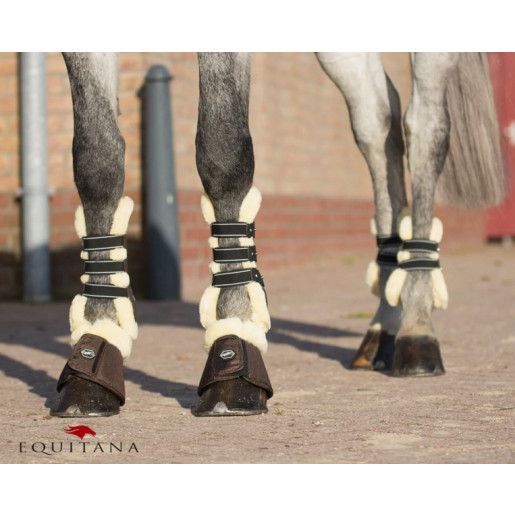 Jambiere cu blanita Ontario