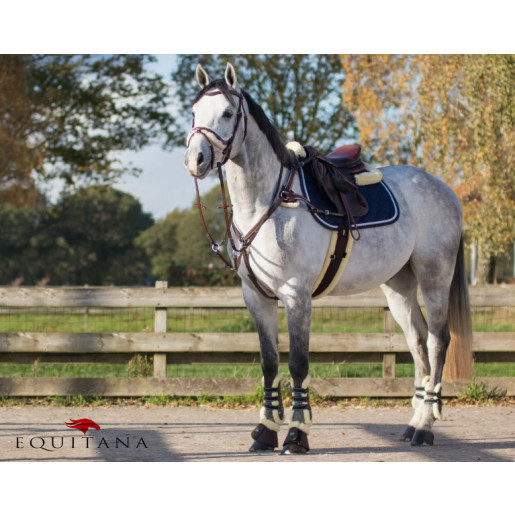 Jambiere cu blanita Ontario