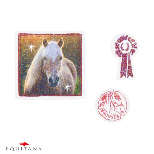 Caiet cu stickere Loesdau