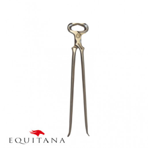 Cleste Icar Blacksmith