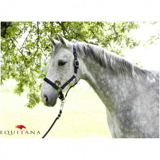 Capastru Liam, Kerbl