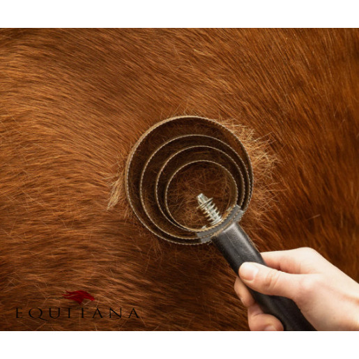 Tesala spiralata QHP