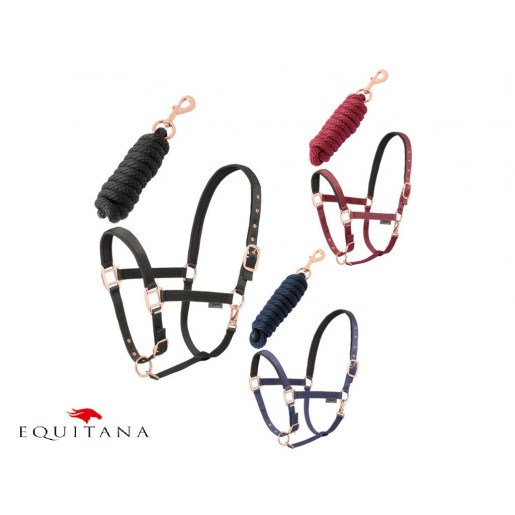 Set capastru cu lesa Daslo Gold, Tattini