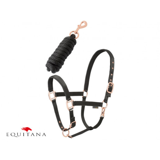 Set capastru cu lesa Daslo Gold, Tattini