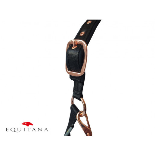 Set capastru cu lesa Daslo Gold, Tattini