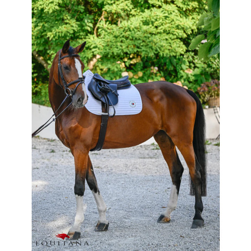 Valtrap Tommy Hilfiger Upstate