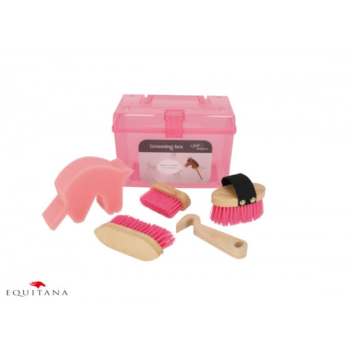 Trusa de intretinere Hobby Horse QHP