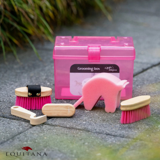 Trusa de intretinere Hobby Horse QHP