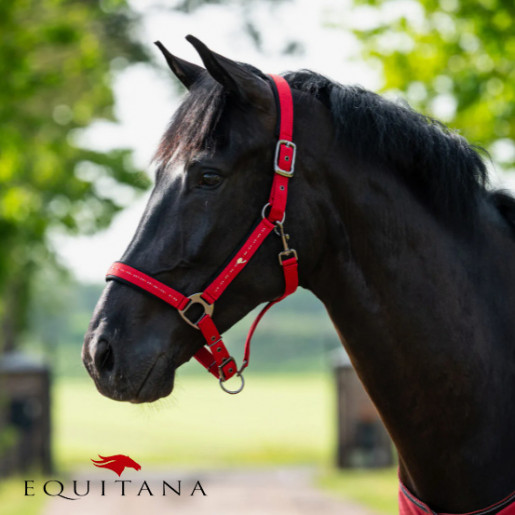 Capastru QHP Oakleigh