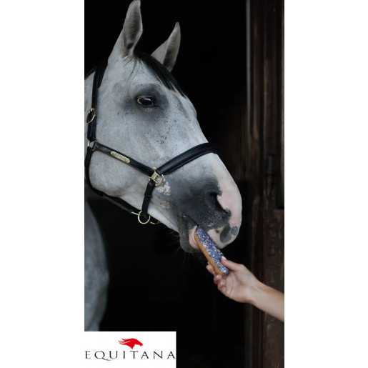 Ecler Candy Horse Cornflower